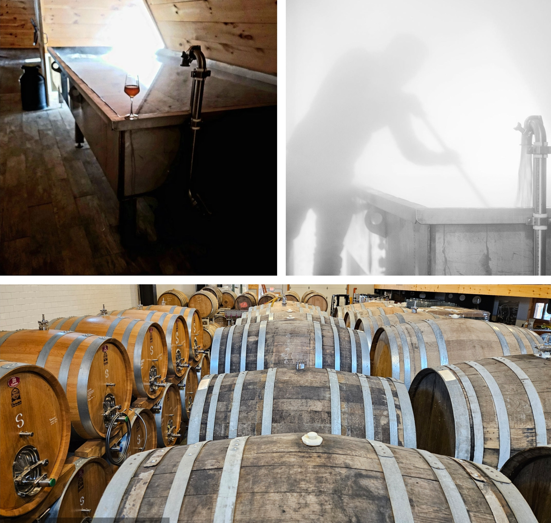Read more about the article Brewing Bridges: A Journey from Brewer to Psychedelic Practitioner